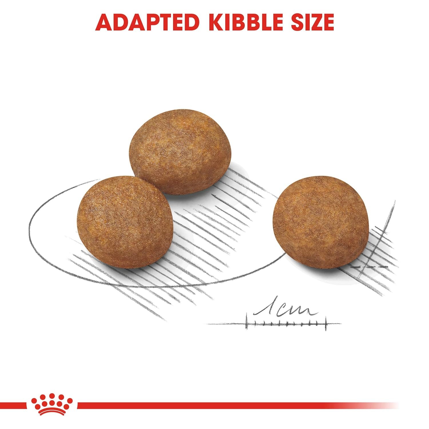 Royal Canin Maxi Puppy Food,