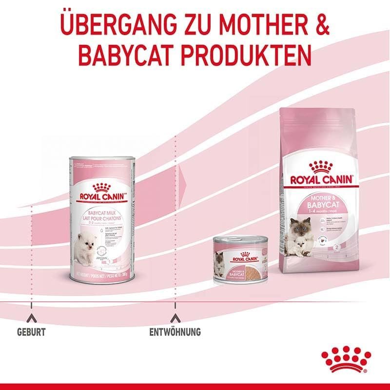 BABY CAT MILK 300G