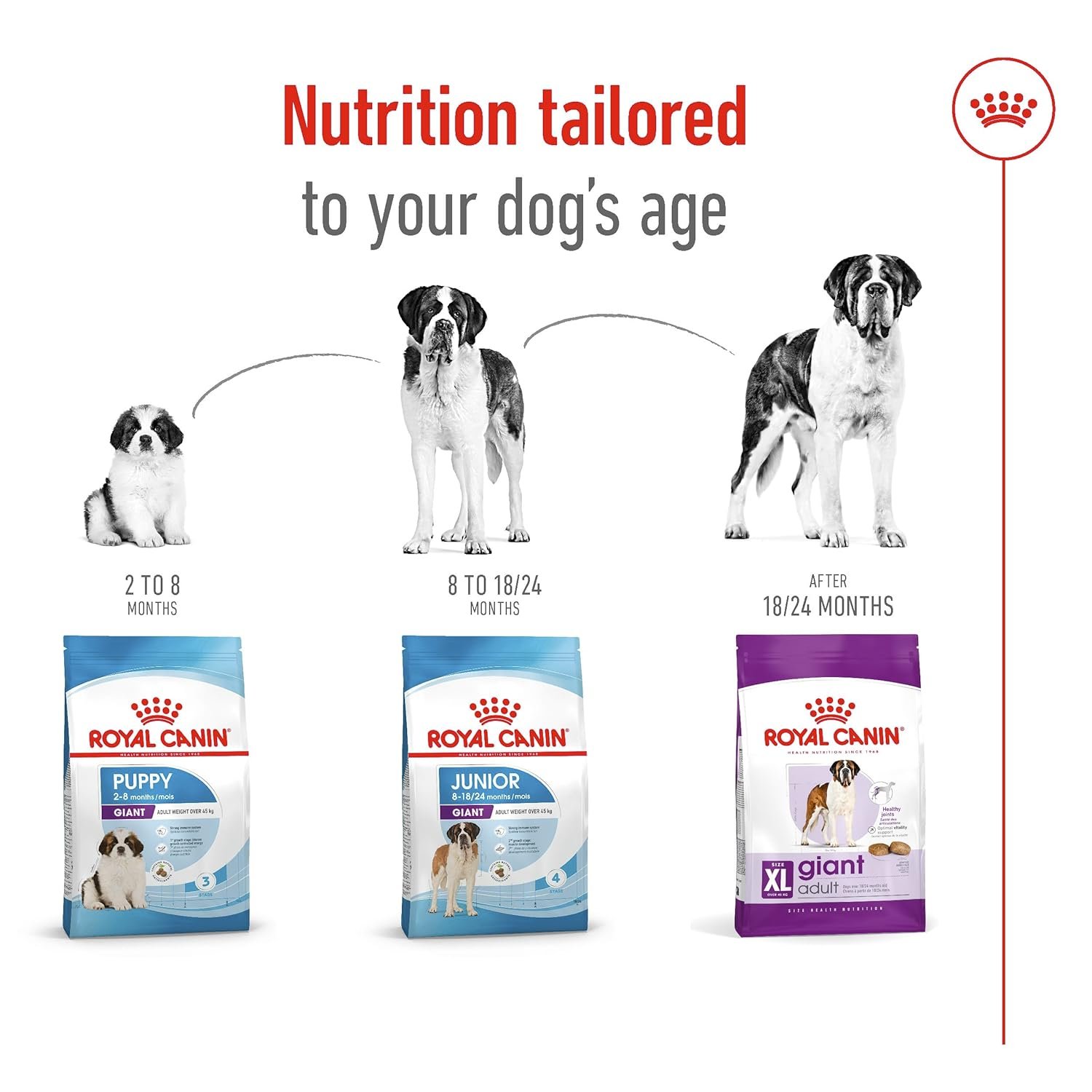 ROYAL CANIN GIANT ADULT