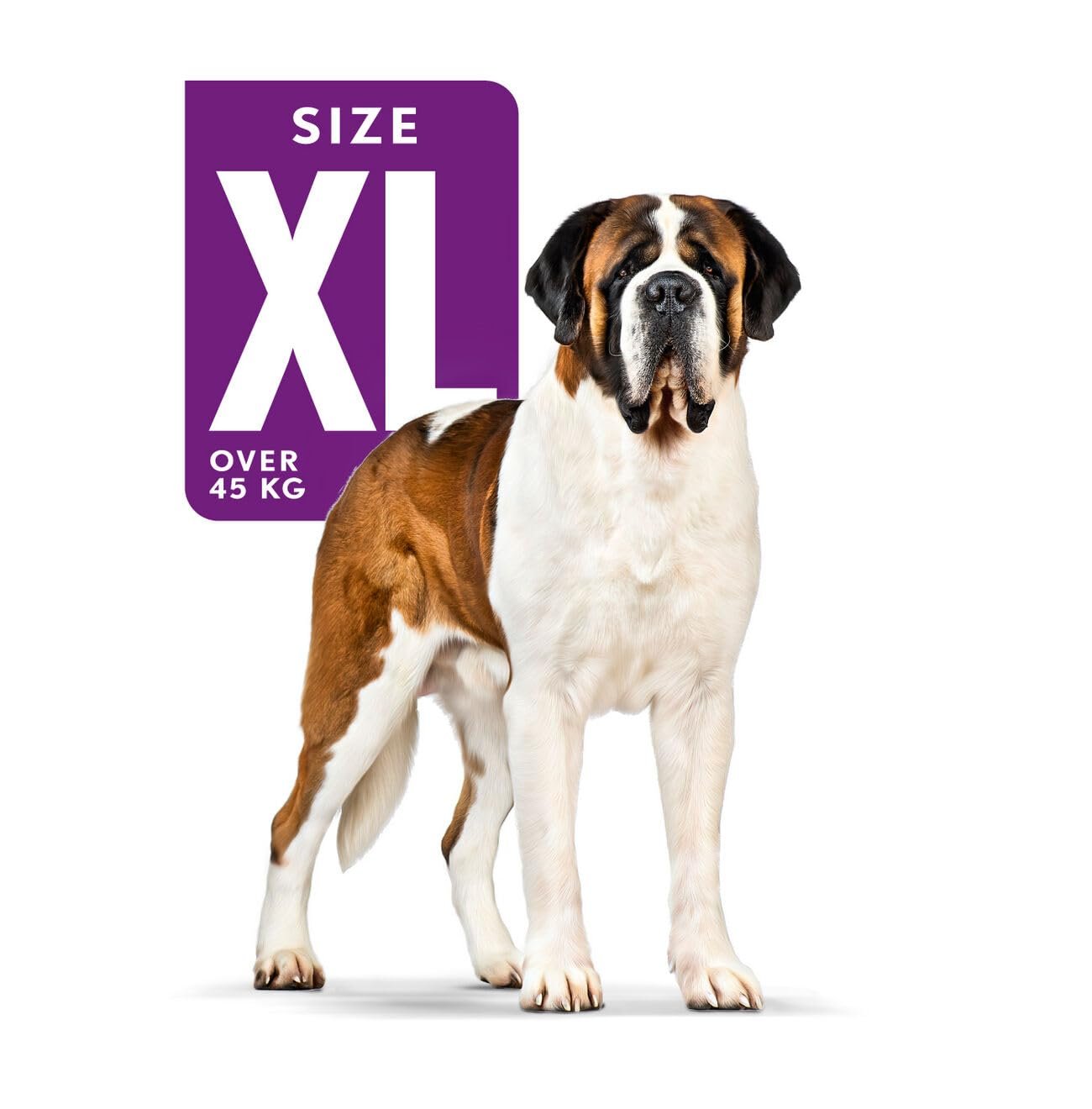 ROYAL CANIN GIANT ADULT