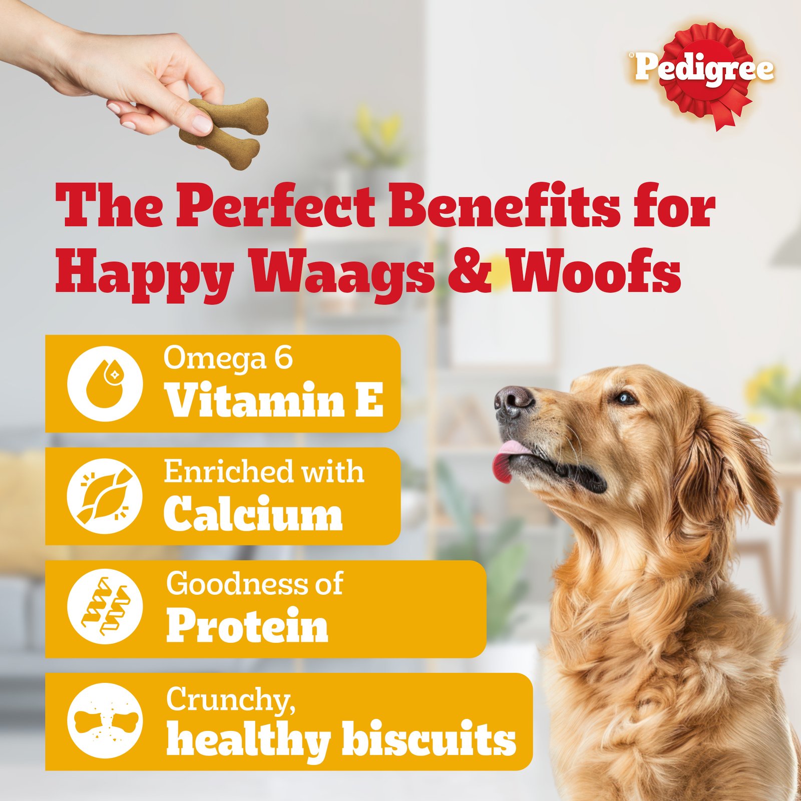 Ped Biscrok with Chicken biscuits 900gx15