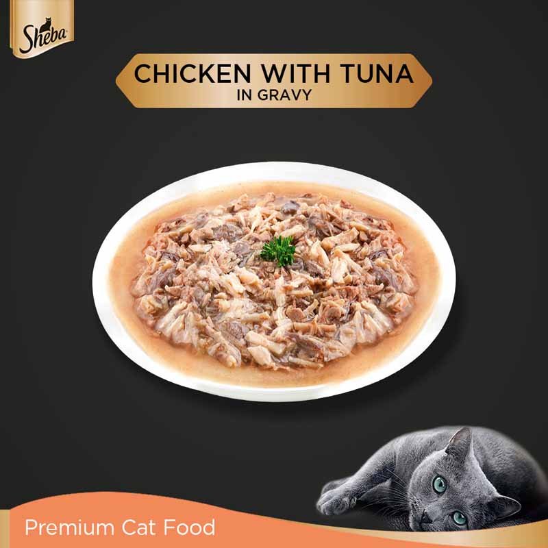 Sheba Fine Premium Adult (1+ Years) Wet Cat Food, Chicken with Tuna in Gravy