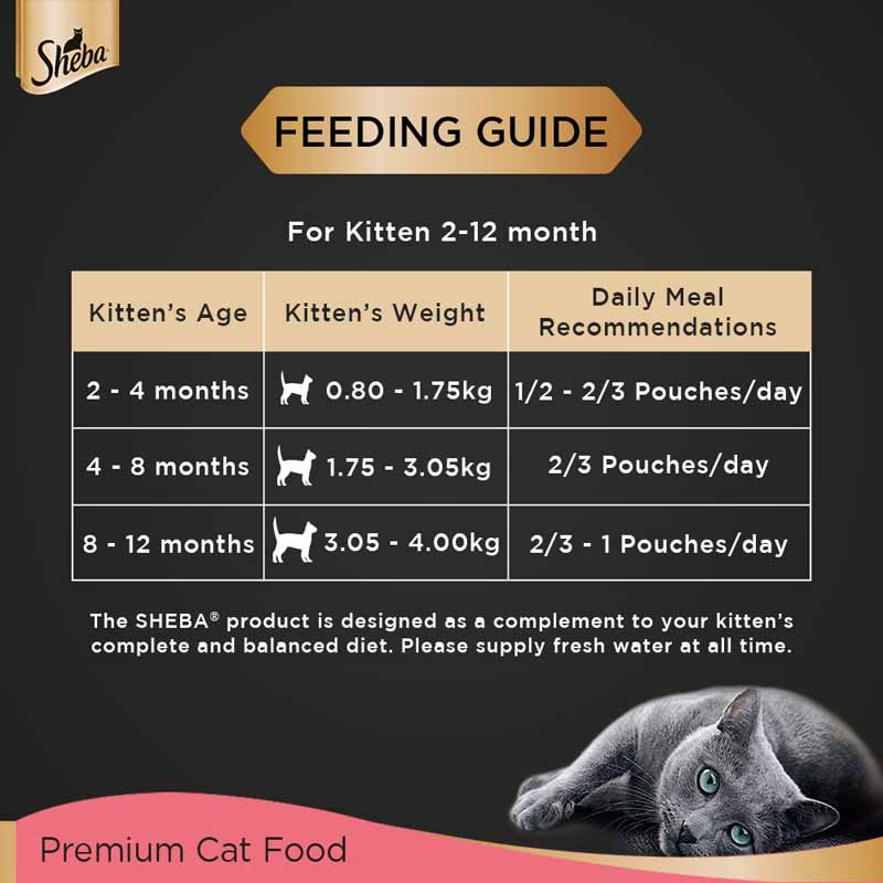Sheba Fine Premium Kitten (2-12 months) Wet Cat Food, Chicken Premium Loaf