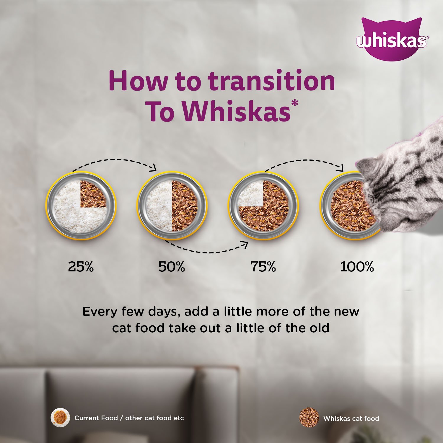 Whiskas Wet Cat Food for Adult Cats (1+Years), Tuna in Jelly Flavour,  80g