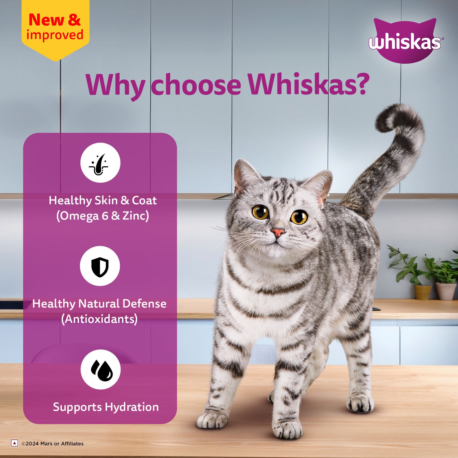 Whiskas Wet Cat Food for Adult Cats (1+Years), Tuna in Jelly Flavour,  80g