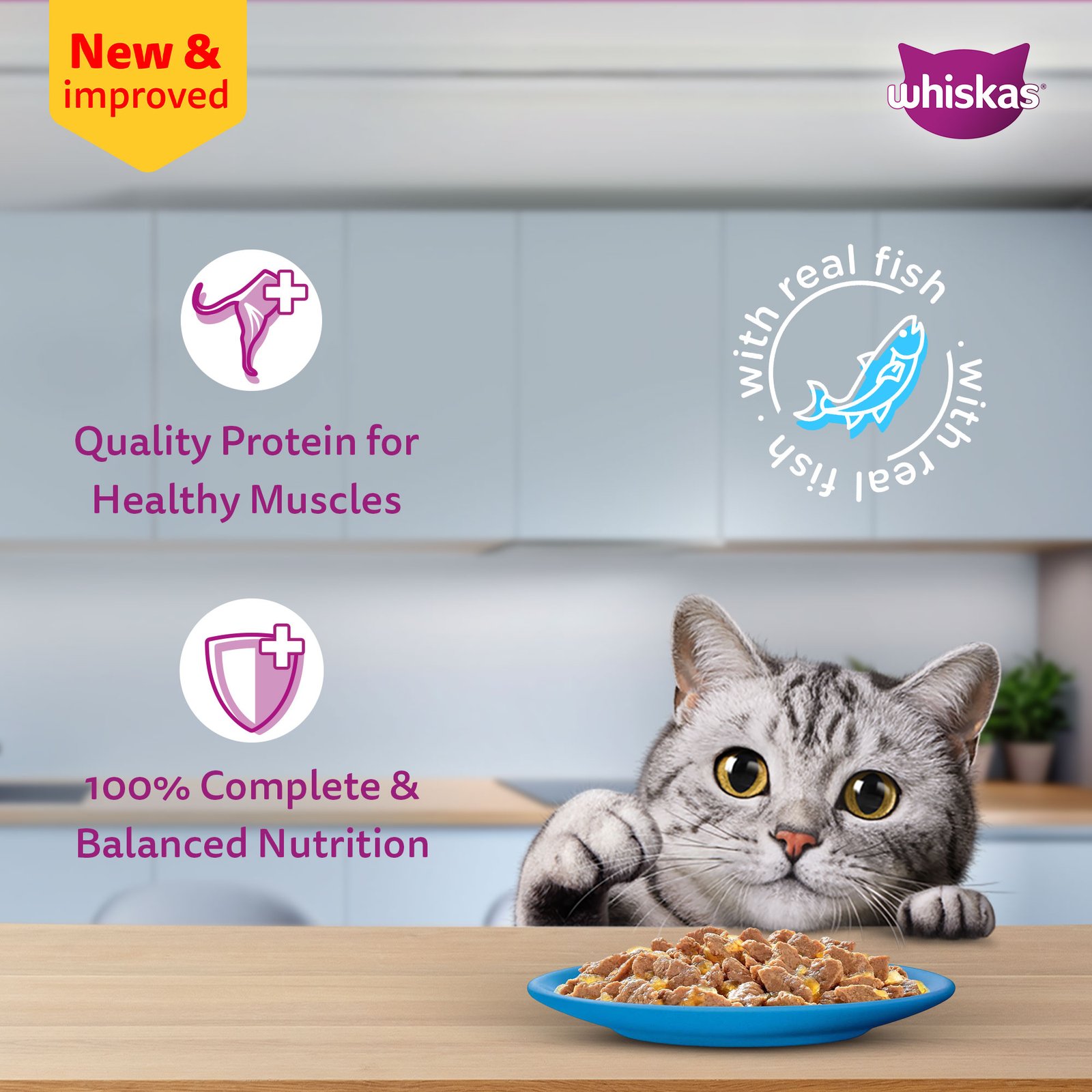 Whiskas Wet Cat Food for Kittens (2-12 Months), Tuna in Jelly Flavour,  80g
