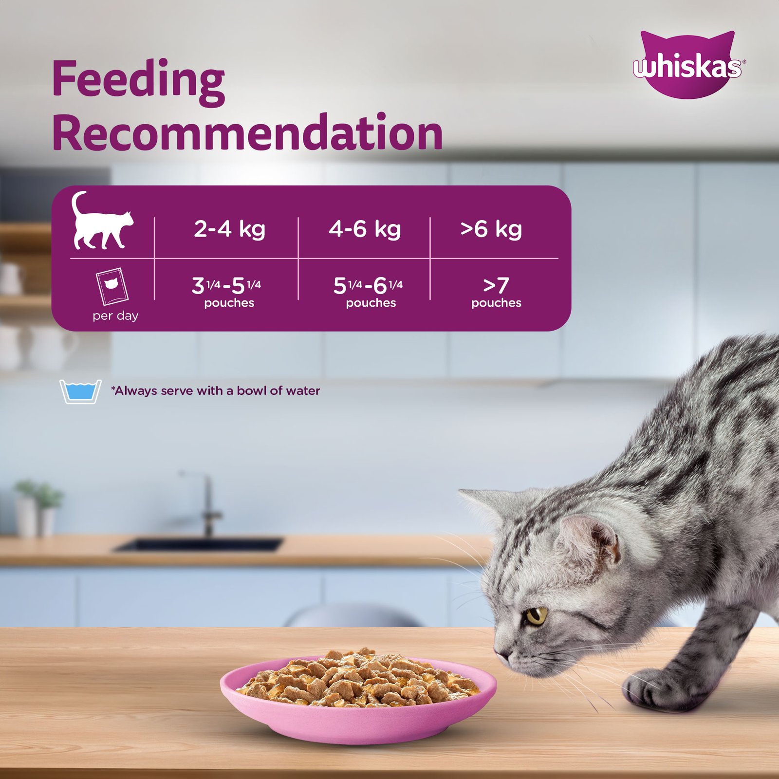 Whiskas Wet Cat Food for Adult Cats (1+Years), Salmon in Gravy Flavour,  80g