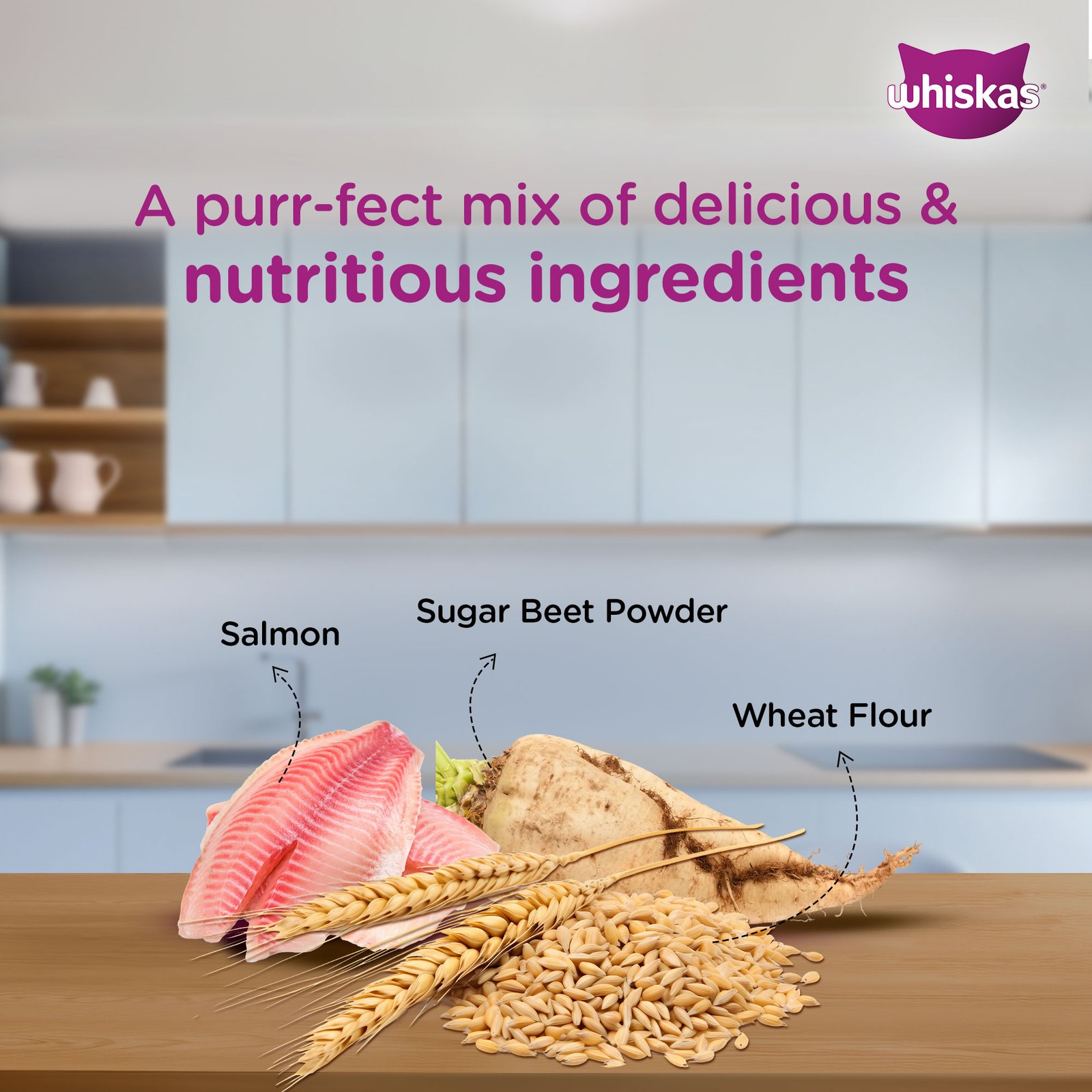 Whiskas Wet Cat Food for Adult Cats (1+Years), Salmon in Gravy Flavour,  80g