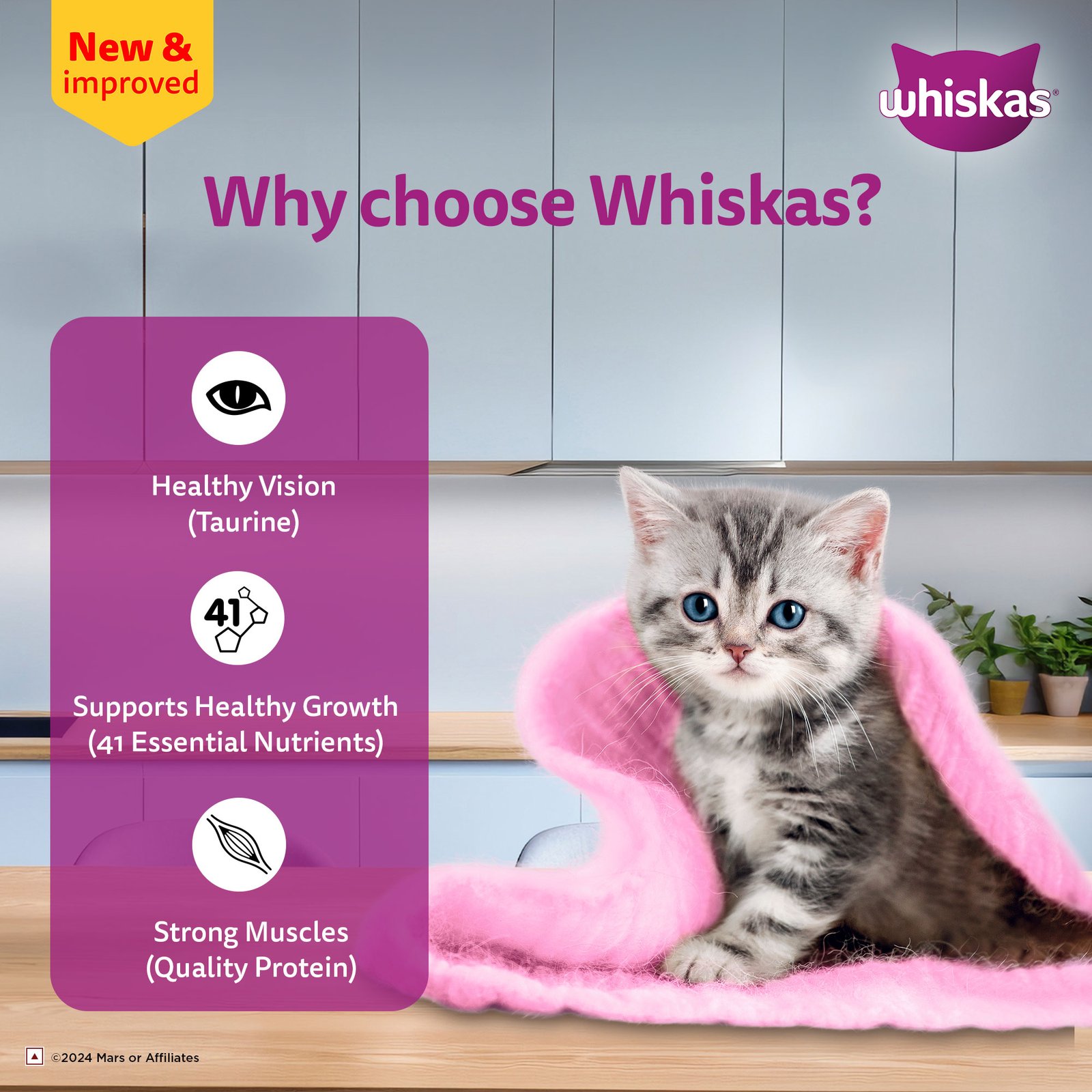 Whiskas Wet Cat Food for Kittens (2-12 Months), Chicken in Gravy Flavour,  80g