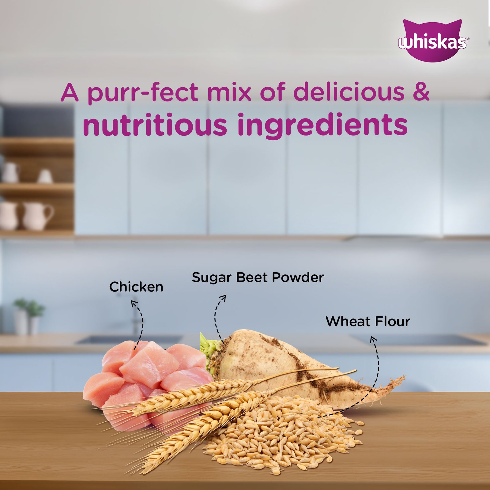 Whiskas Wet Cat Food for Kittens (2-12 Months), Chicken in Gravy Flavour,  80g