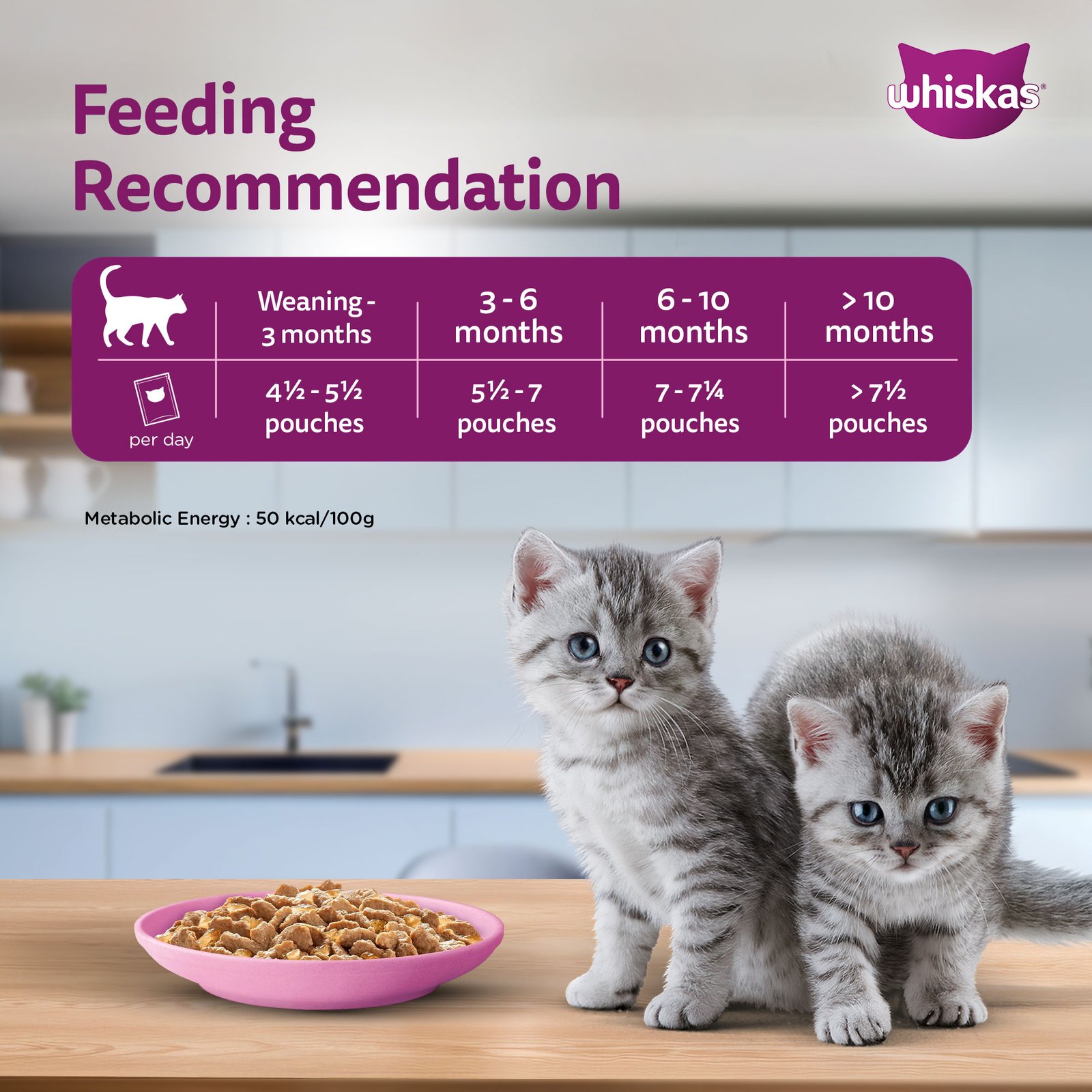 Whiskas Wet Cat Food for Kittens (2-12 Months), Chicken in Gravy Flavour,  80g