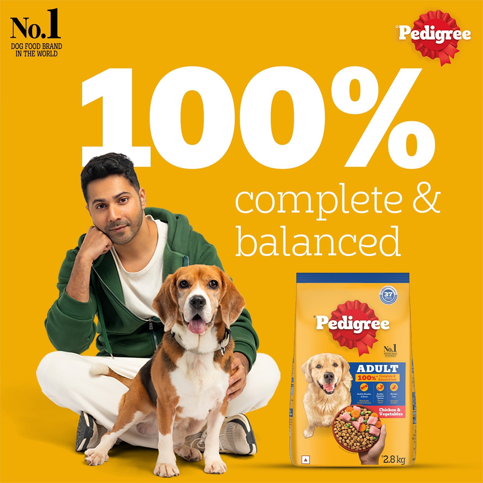 Pedigree Adult Dry Dog Food, Chicken & Vegetables, 2.8 kg