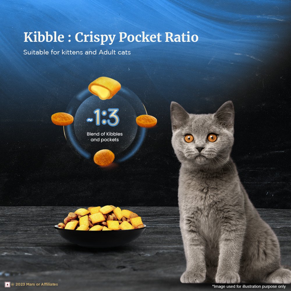 Sheba Kitten and Adult, Irresistible Dry Cat Food, Salmon Flavour, 1.5kg