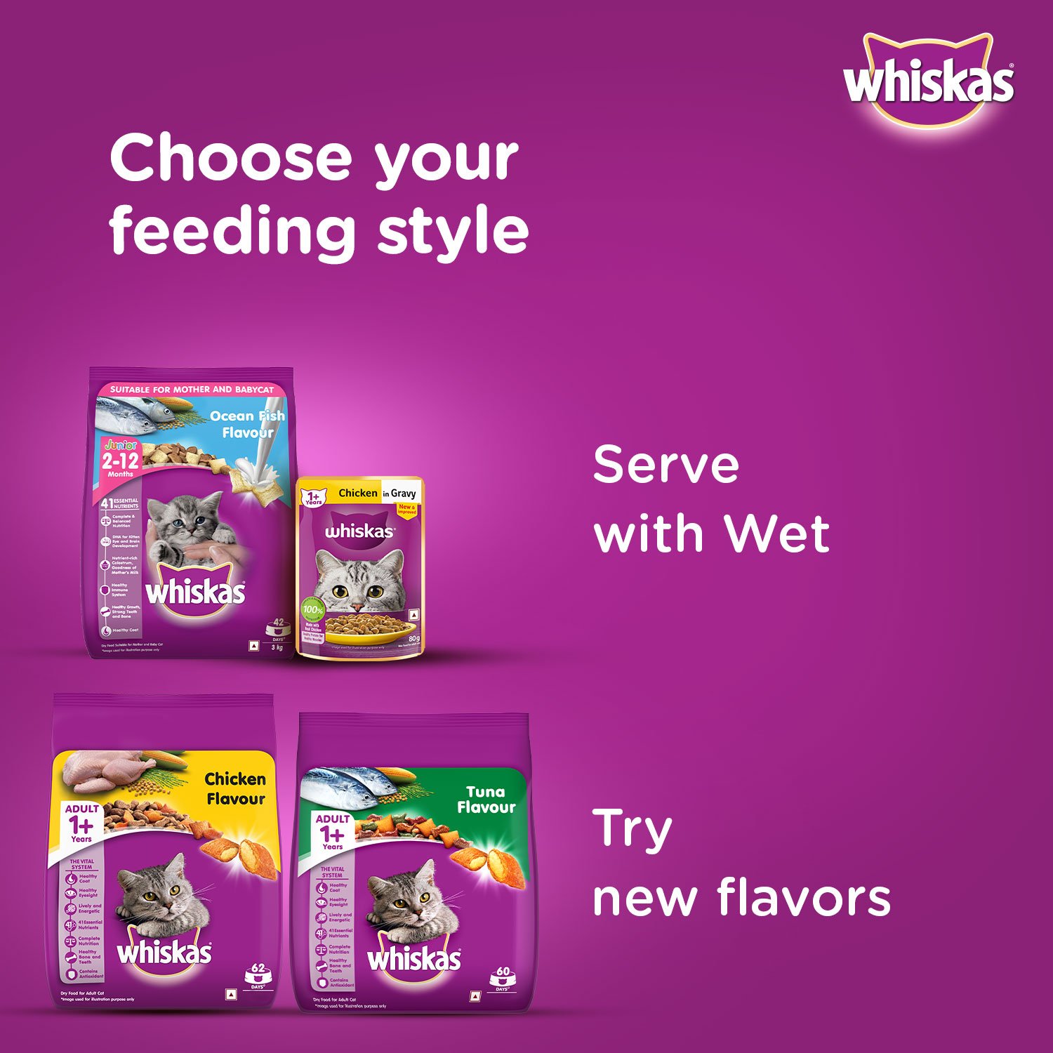 Whiskas Kitten (2-12 months) Dry Cat Food, Ocean Fish Flavour with Milk