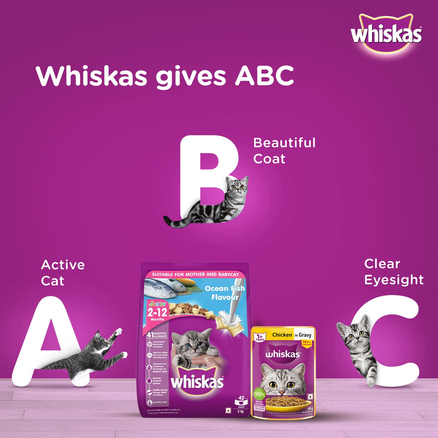 Whiskas Kitten (2-12 months) Dry Cat Food, Ocean Fish Flavour with Milk