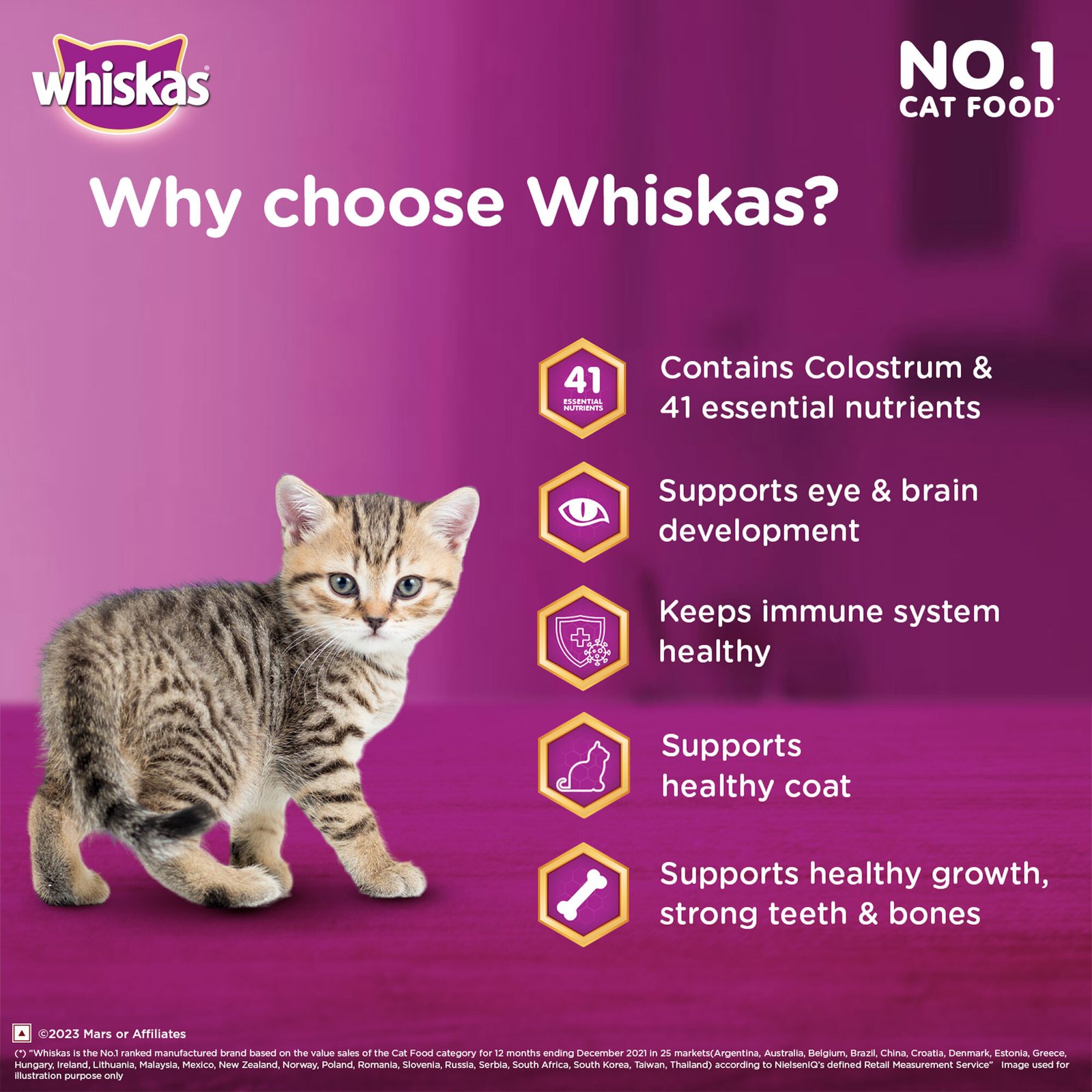 Whiskas Kitten (2-12 months) Dry Cat Food, Ocean Fish Flavour with Milk