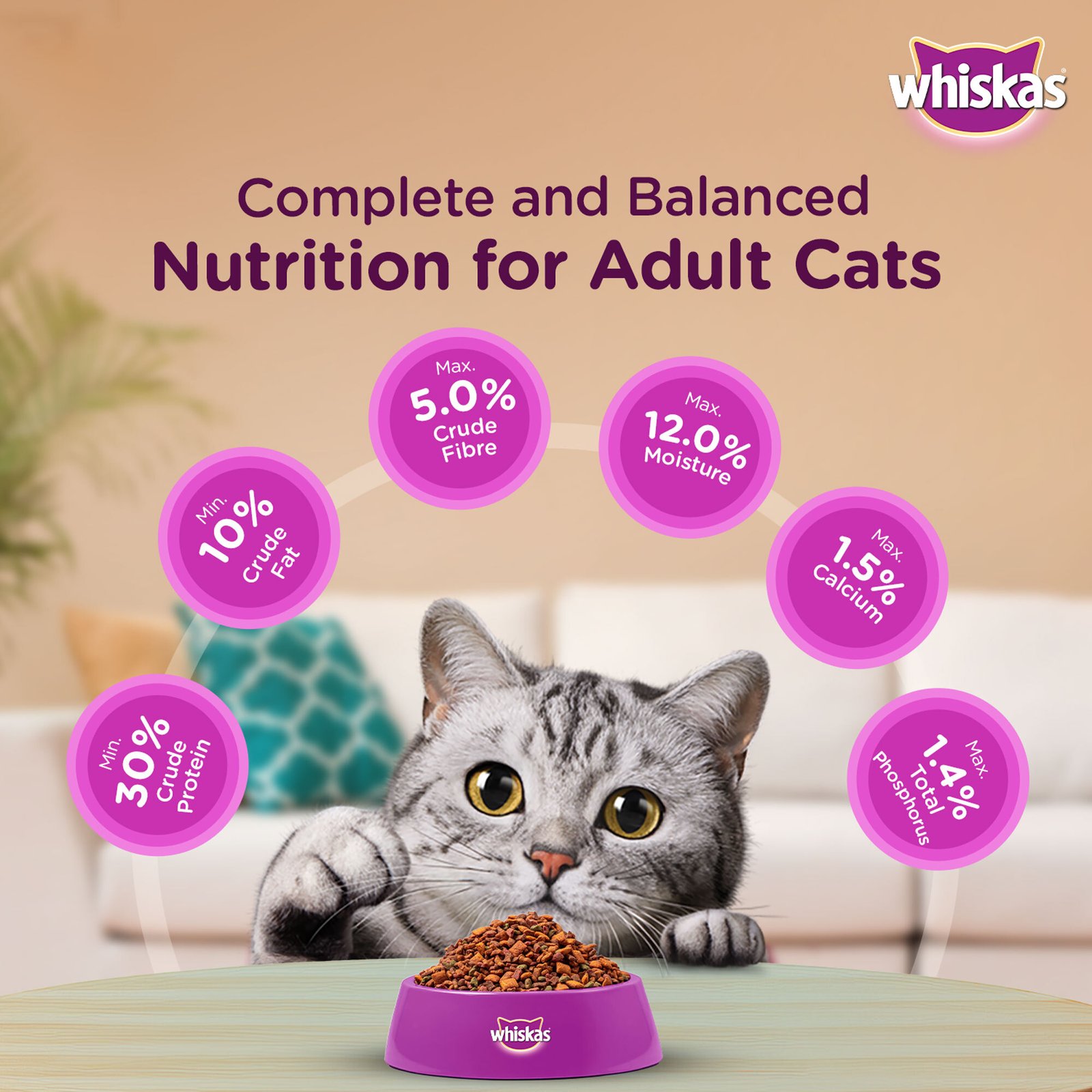 Whiskas Dry Cat Food For Adult Cats - Chicken Flavour, 1+ Years