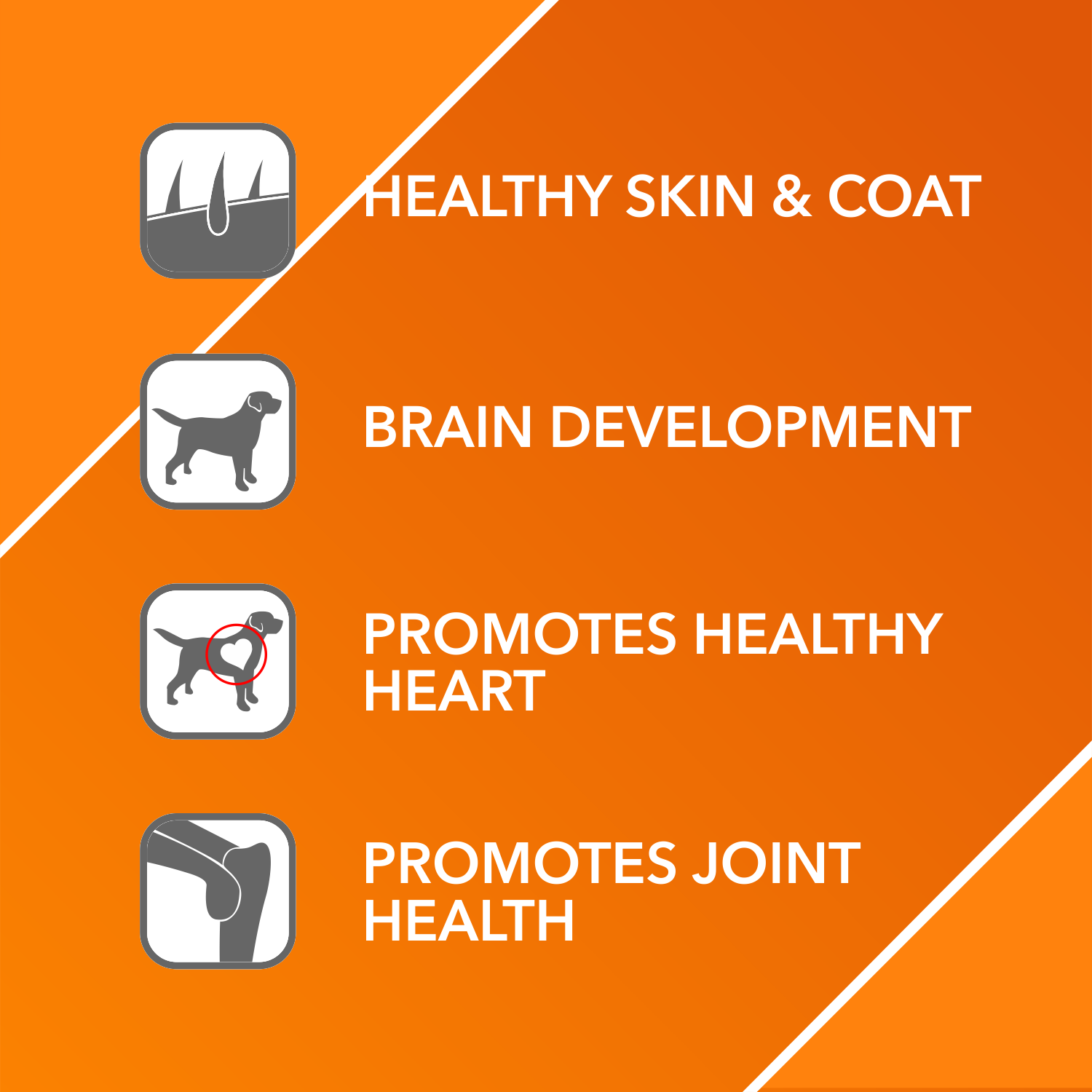 Drools Absolute Salmon Oil Syrup - Dog Supplement