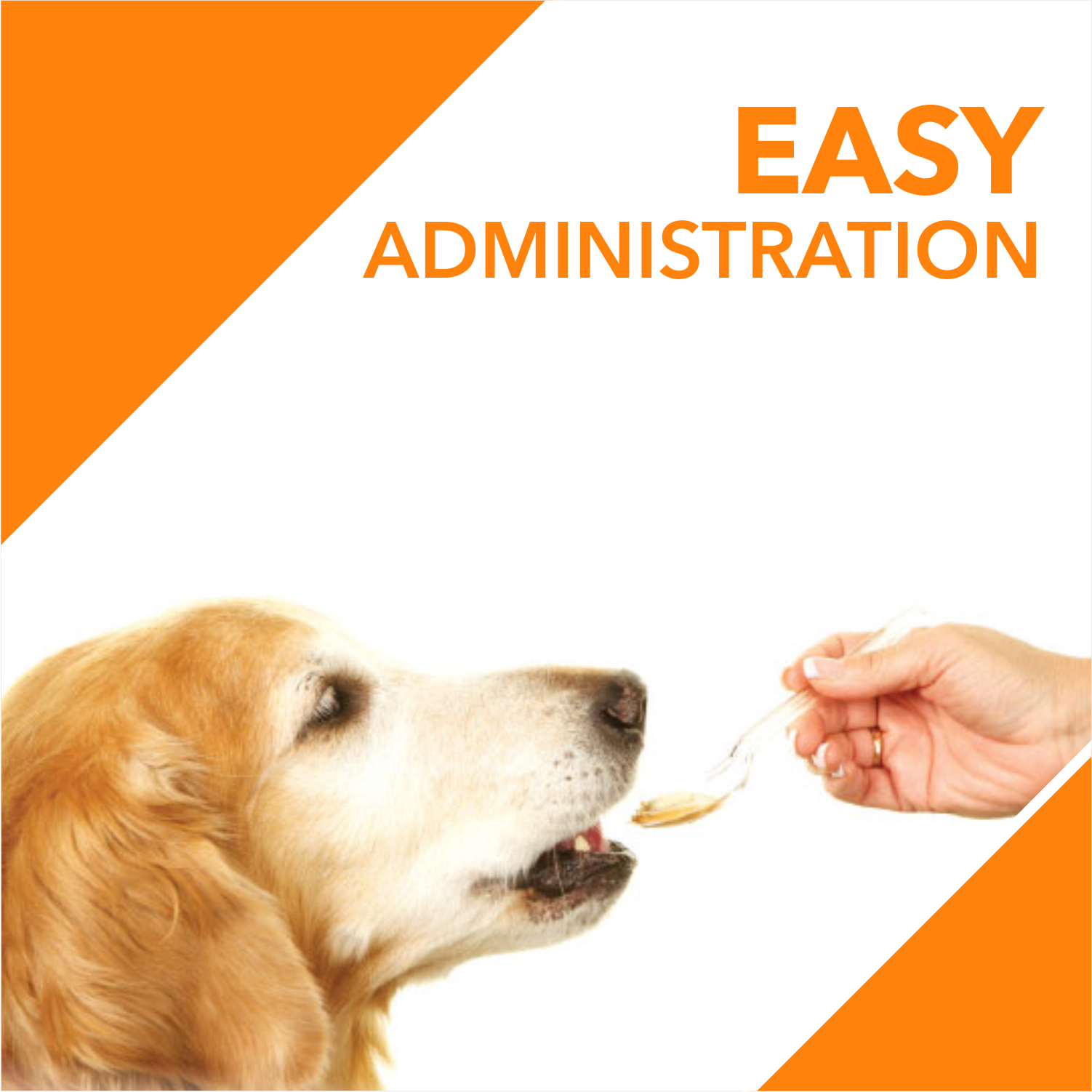 Drools Absolute Salmon Oil Syrup- Dog Supplement