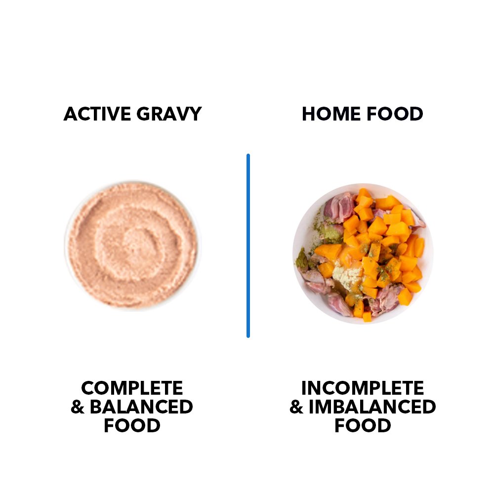 Active Adult Cat Wet Food, Real Ocean Fish in Gravy, 8 Pouches, 50g x 8 (Buy 1 Get 1 Free )