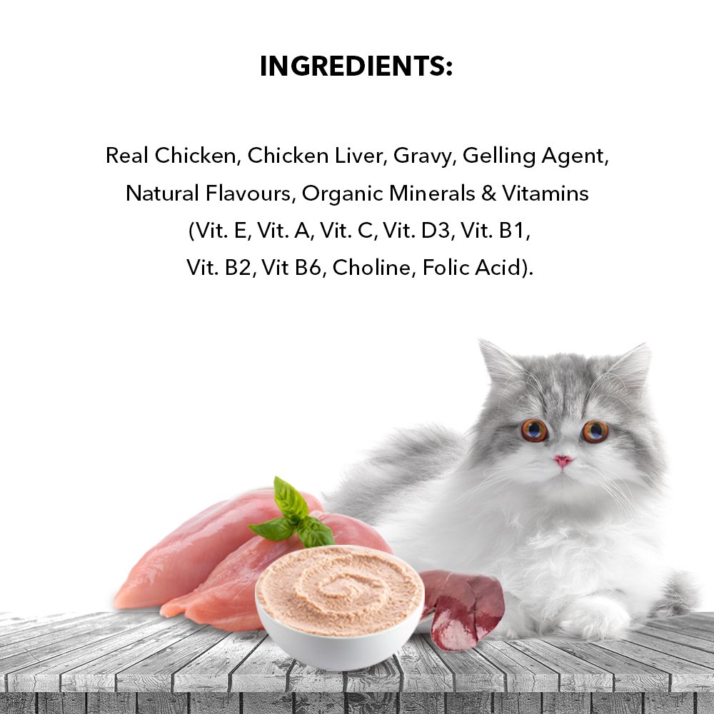 Active Adult Cat Wet Food, Real Ocean Fish in Gravy, 8 Pouches, 50g x 8 (Buy 1 Get 1 Free )