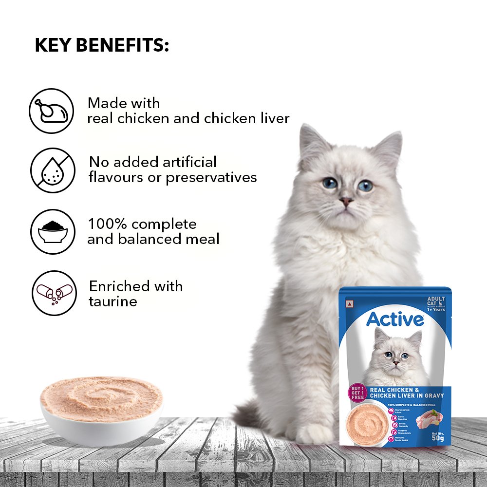 Active Adult Cat Wet Food, Real Ocean Fish in Gravy, 8 Pouches, 50g x 8 (Buy 1 Get 1 Free )