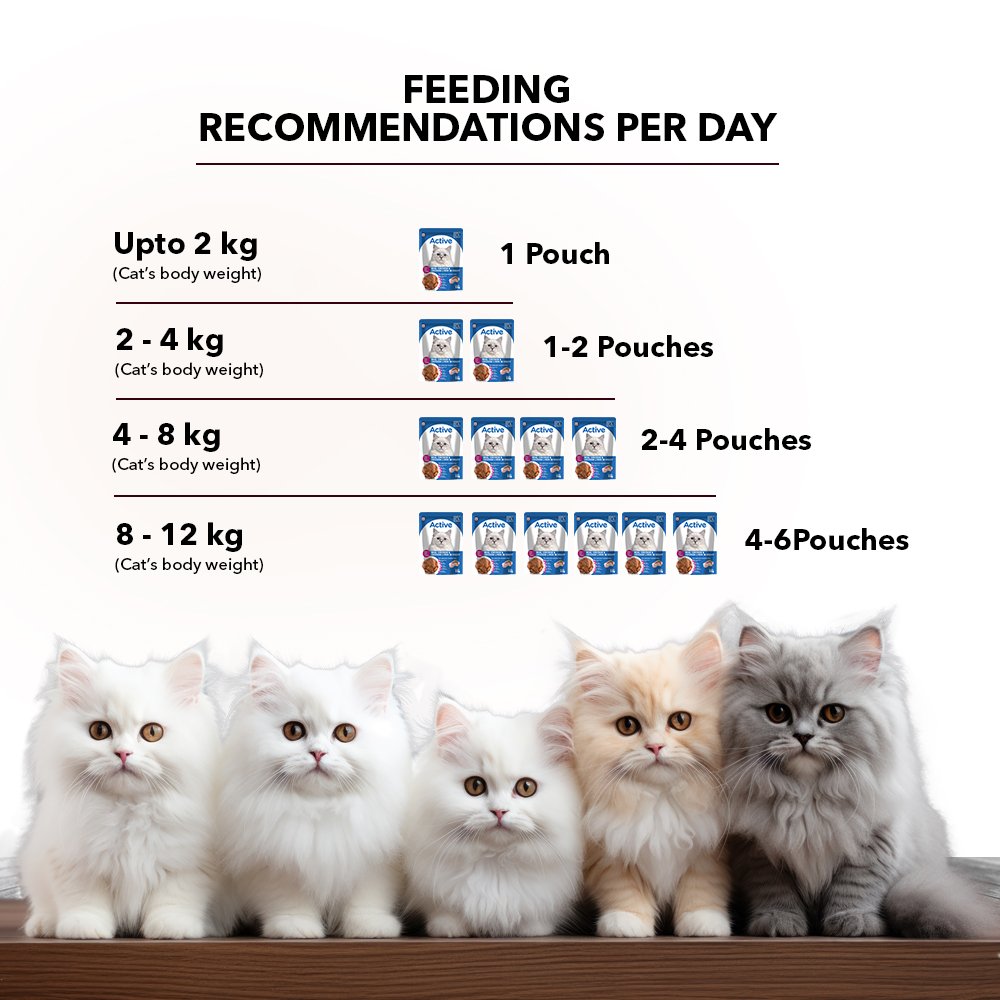 Active Adult Cat Wet Food, Real Ocean Fish in Gravy, 8 Pouches, 50g x 8 (Buy 1 Get 1 Free )