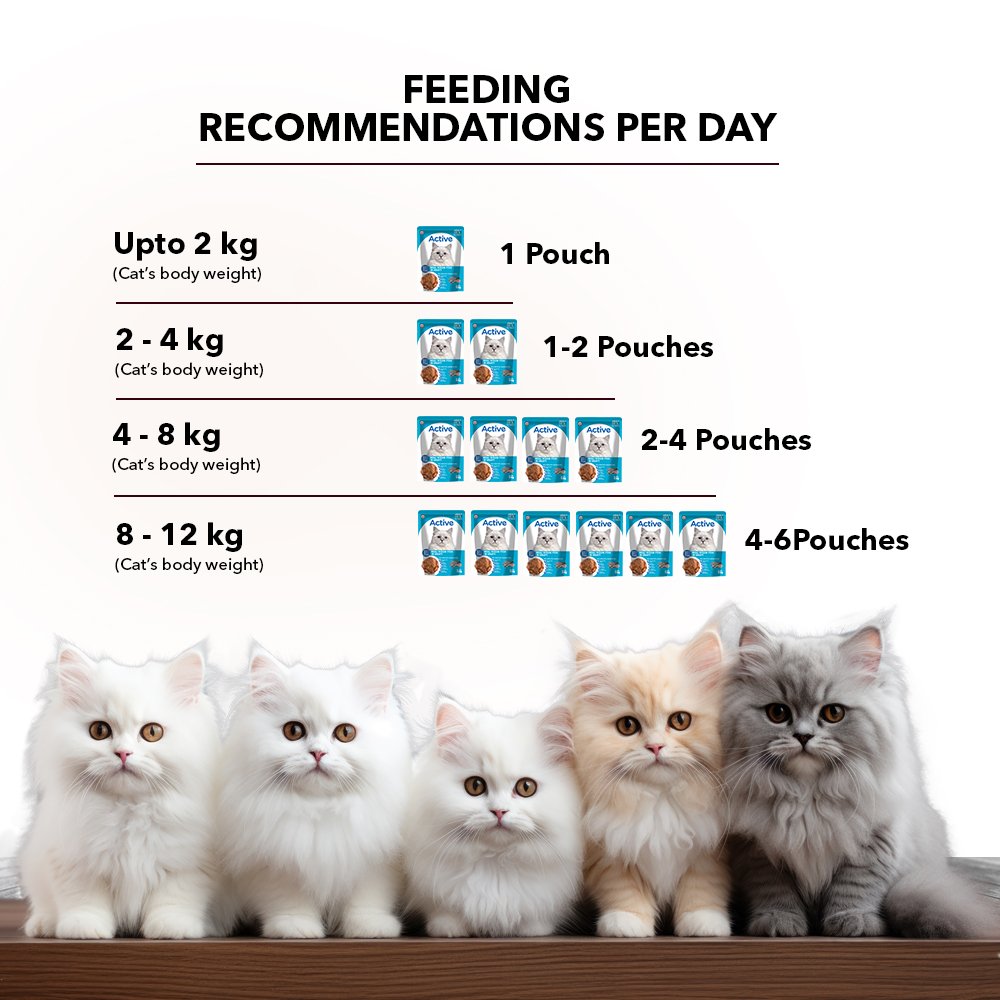 Active Adult Cat Wet Food, Real Ocean Fish in Gravy, 8 Pouches, 50g x 8 (Buy 1 Get 1 Free )