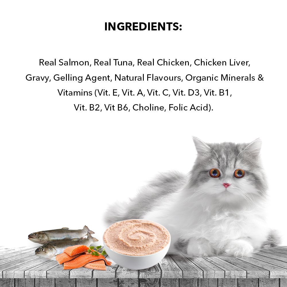 Active Adult Cat Wet Food, Real Salmon Fish in Gravy, 8 Pouches, 50g x 8 (Buy 1 Get 1 Free )