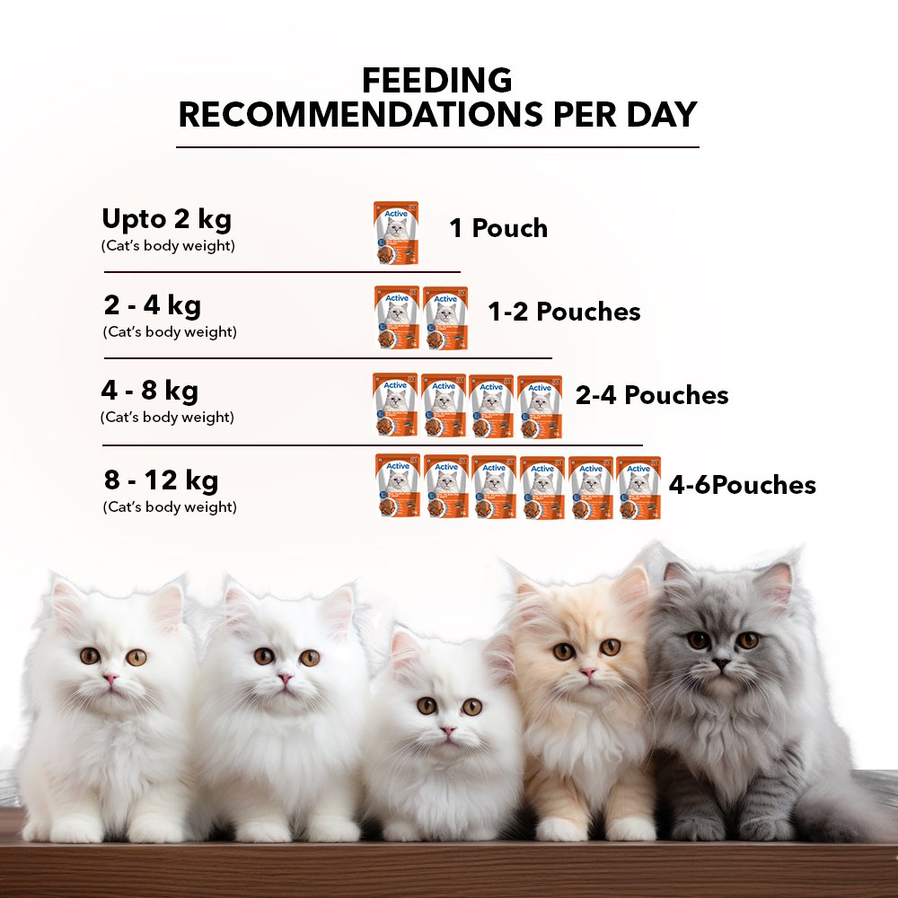 Active Adult Cat Wet Food, Real Salmon Fish in Gravy, 8 Pouches, 50g x 8 (Buy 1 Get 1 Free )