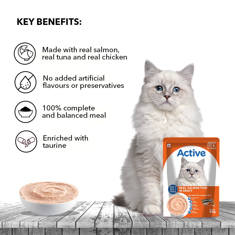 Active Adult Cat Wet Food, Real Salmon Fish in Gravy, 8 Pouches, 50g x 8 (Buy 1 Get 1 Free )