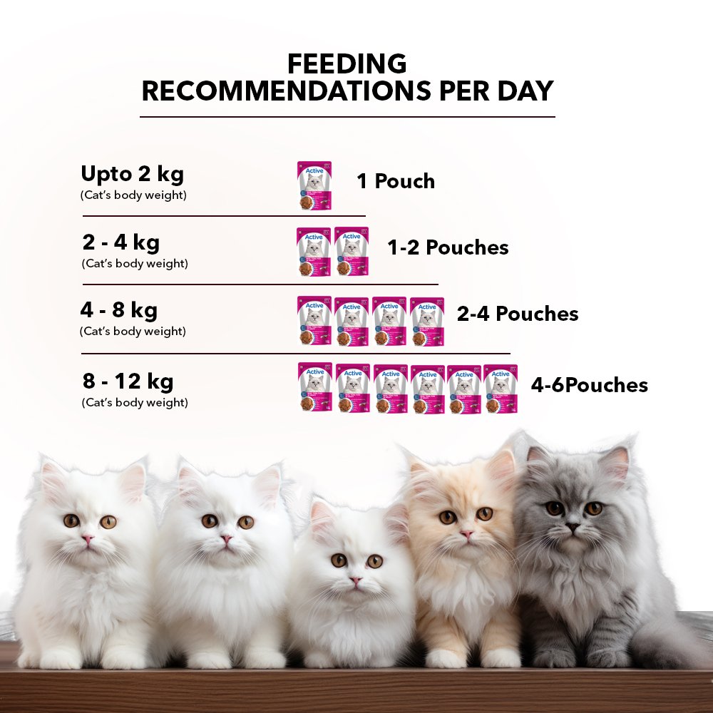 Active Adult Cat Wet Food, Real Tuna in Gravy, 8 Pouches, 50g x 8 (Buy 1 Get 1 Free )