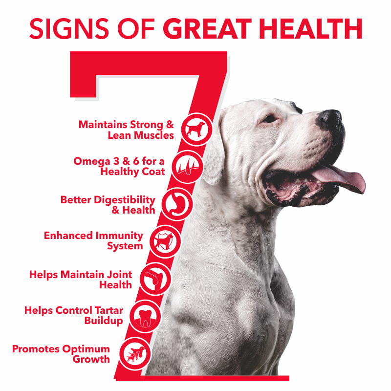 Active Adult Chicken and Vegetables Dry Dog Food (Buy 1 Get 1 Free)