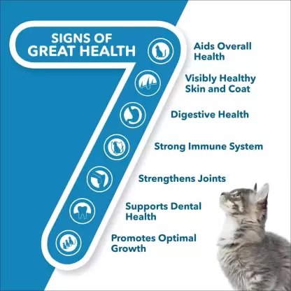 Active Ocean Fish Dry Adult Cat Food (Buy 1 Get 1 Free)