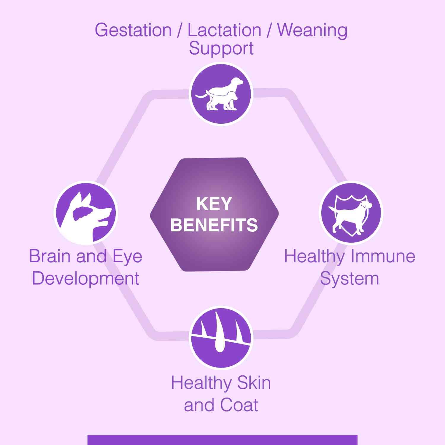 Canine Creek Starter Dry Dog Food, Ultra Premium