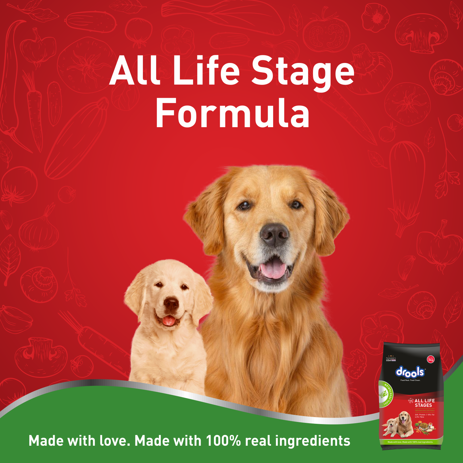 Drools All Life stages  Veg Dry Dog Food