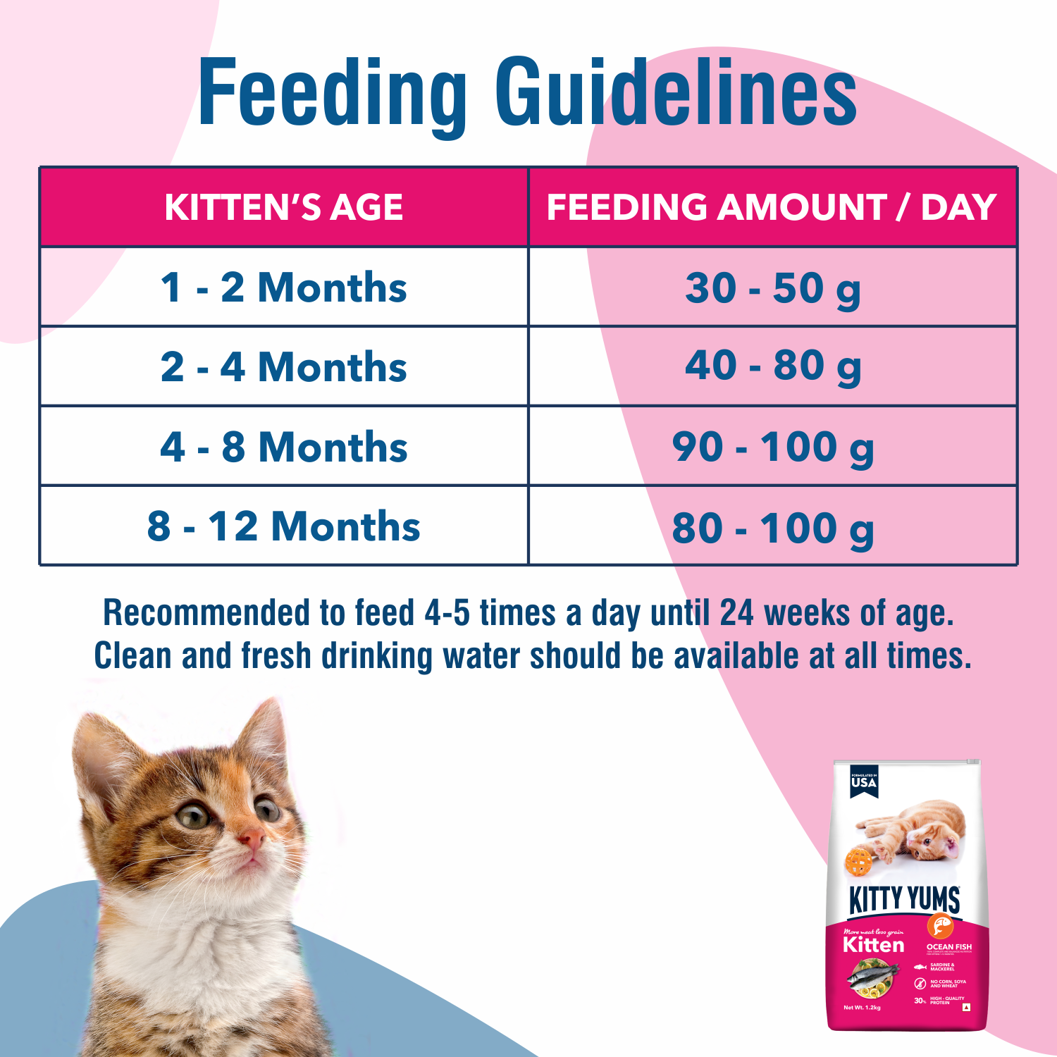 Kitty Yums Kitten(1-12 Months) Dry Cat Food, Ocean Fish