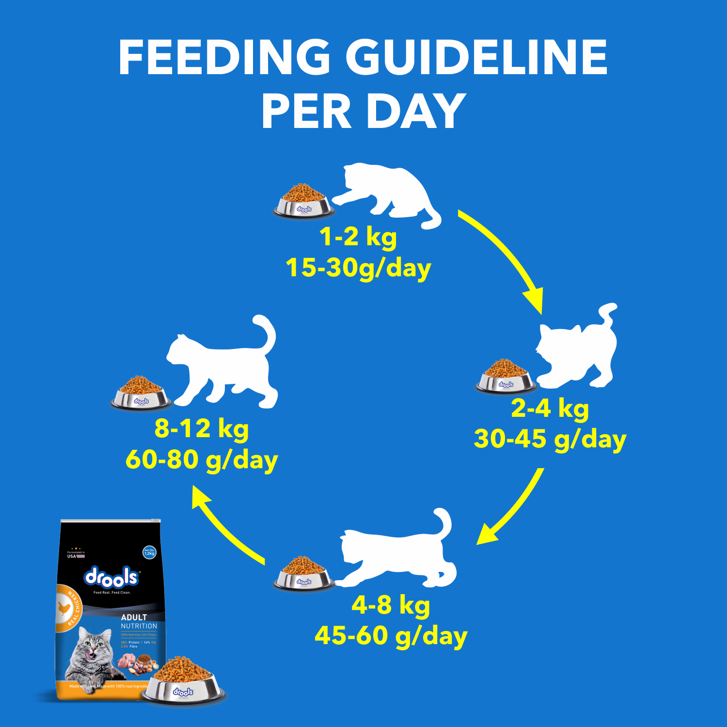 Drools Cat Adult Real Chicken Dry Cat Food