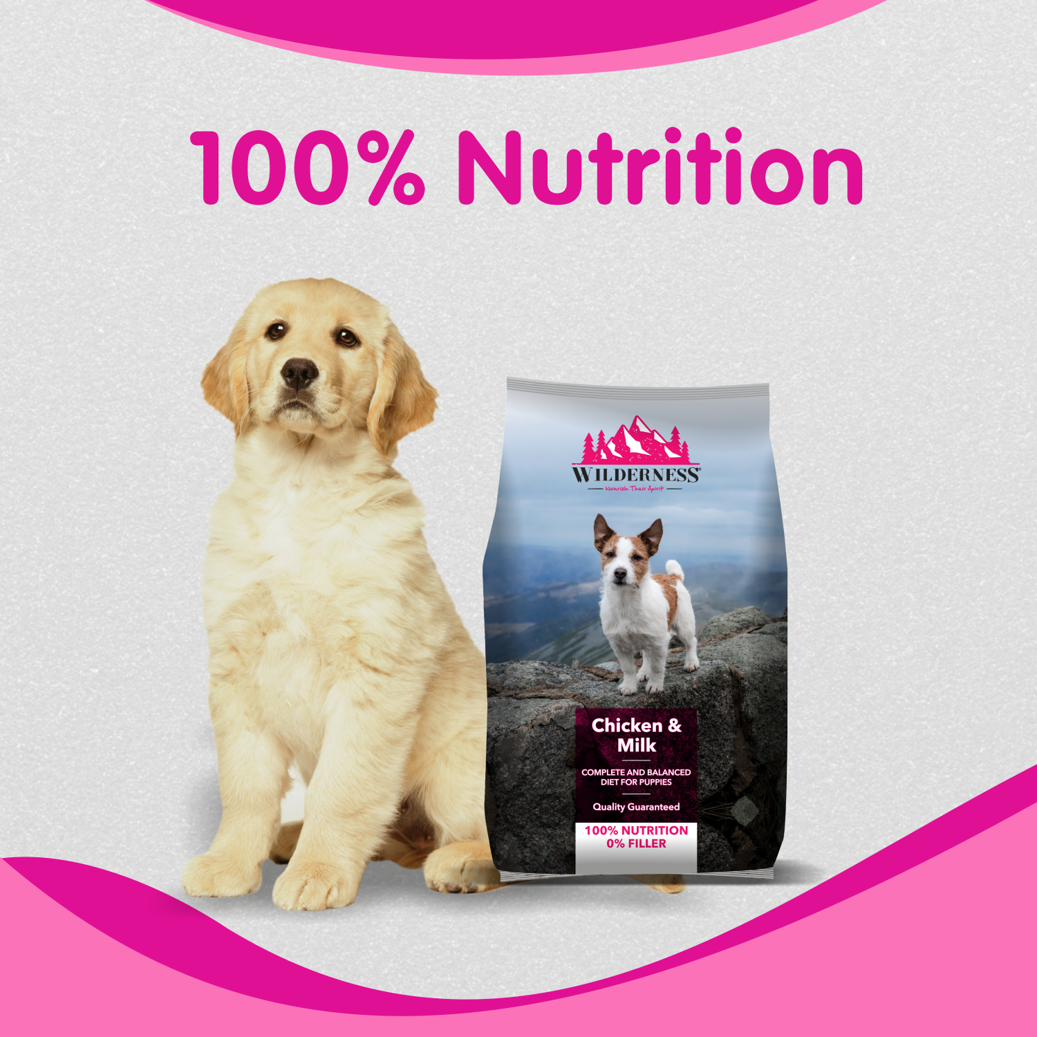 Wilderness Chicken and Milk Puppy Dog Food ( Buy 1 Get 1 Free)