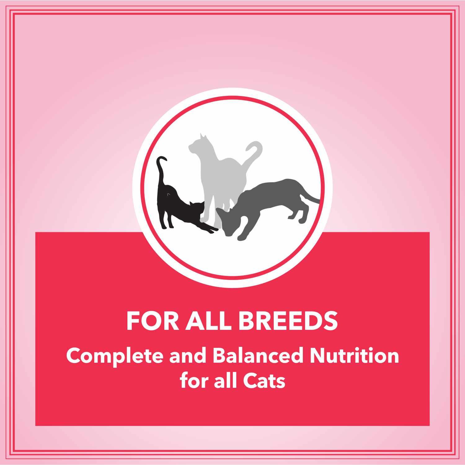 Let's Bite Active Adult Dry Cat Food