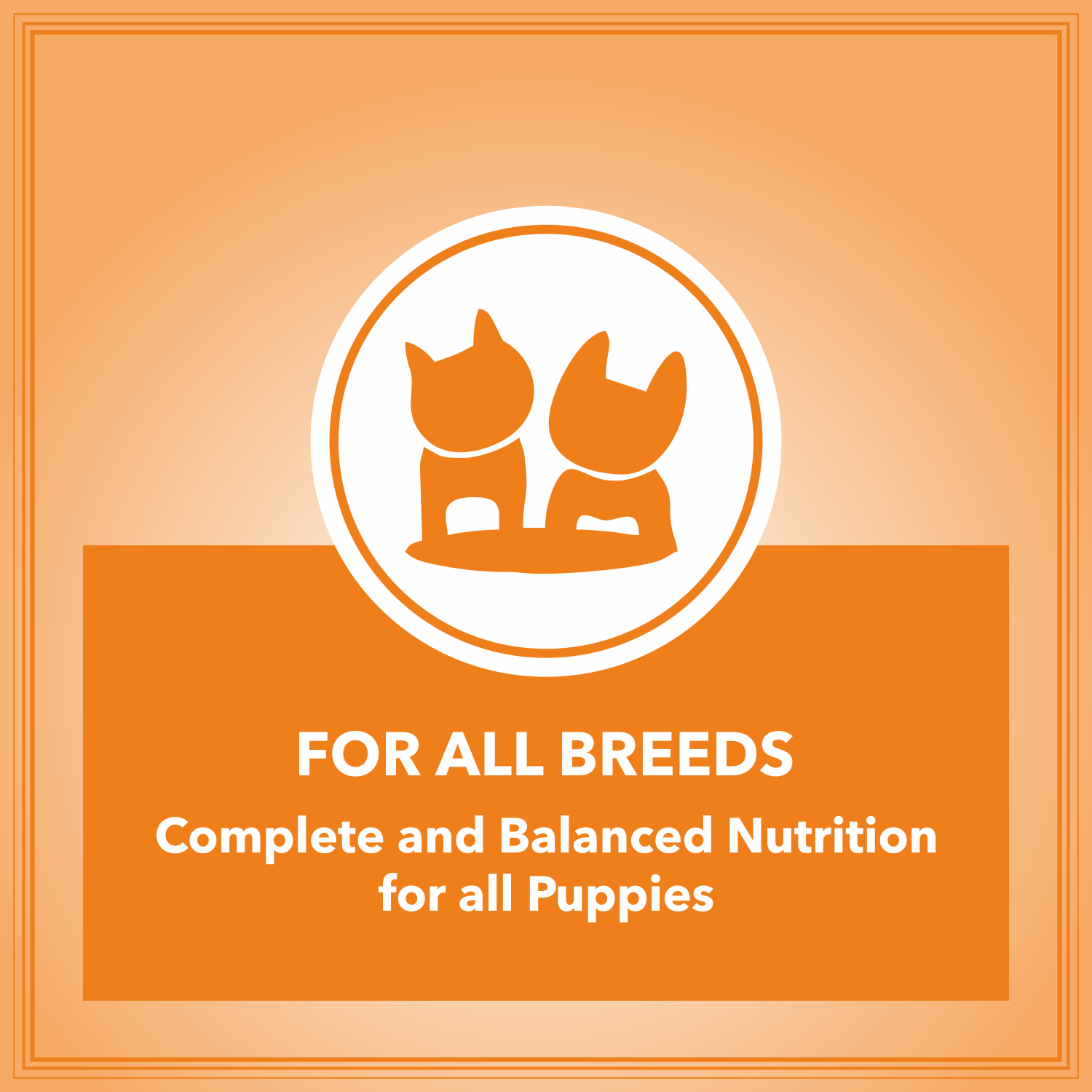 Let's Bite Active Puppy Dog Food