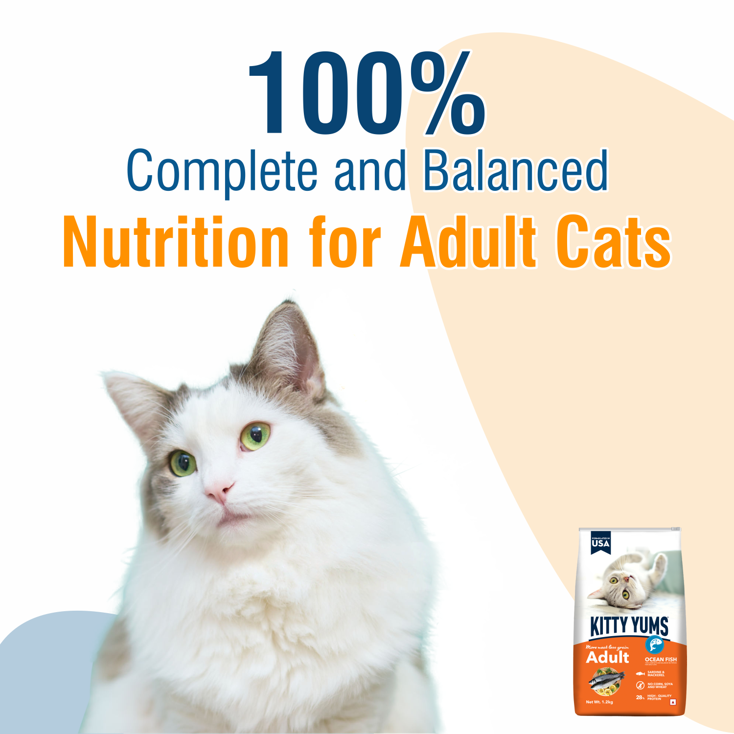 Kitty Yums Adult (+1 Year) Dry Cat Food, Ocean Fish
