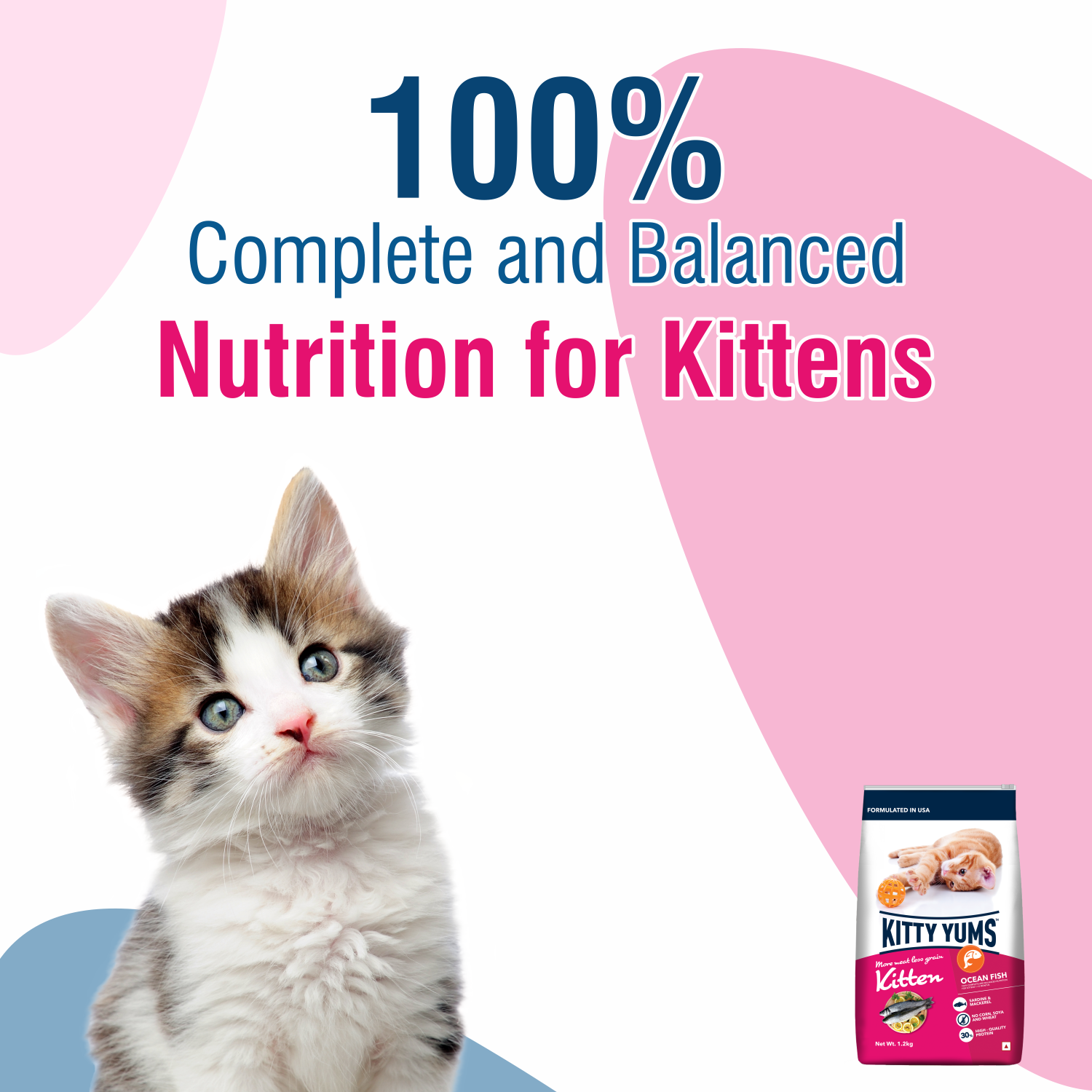 Kitty Yums Kitten (1-12 Months) Dry Cat Food, Ocean Fish