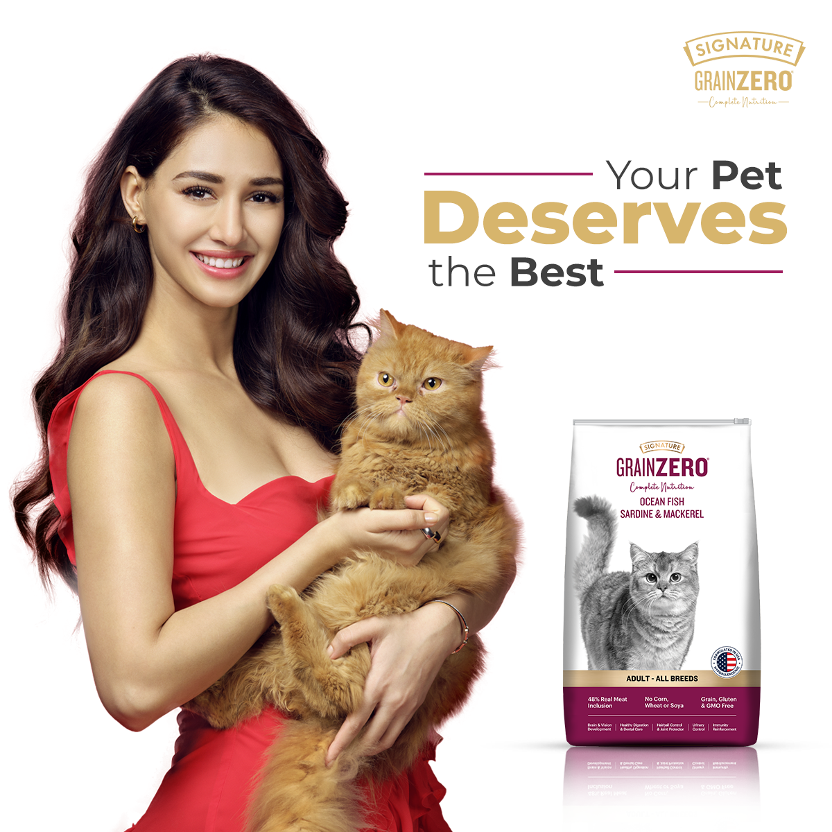 Grain Zero Ocean Fish, Sardine, and Mackerel Adult Dry Cat Food