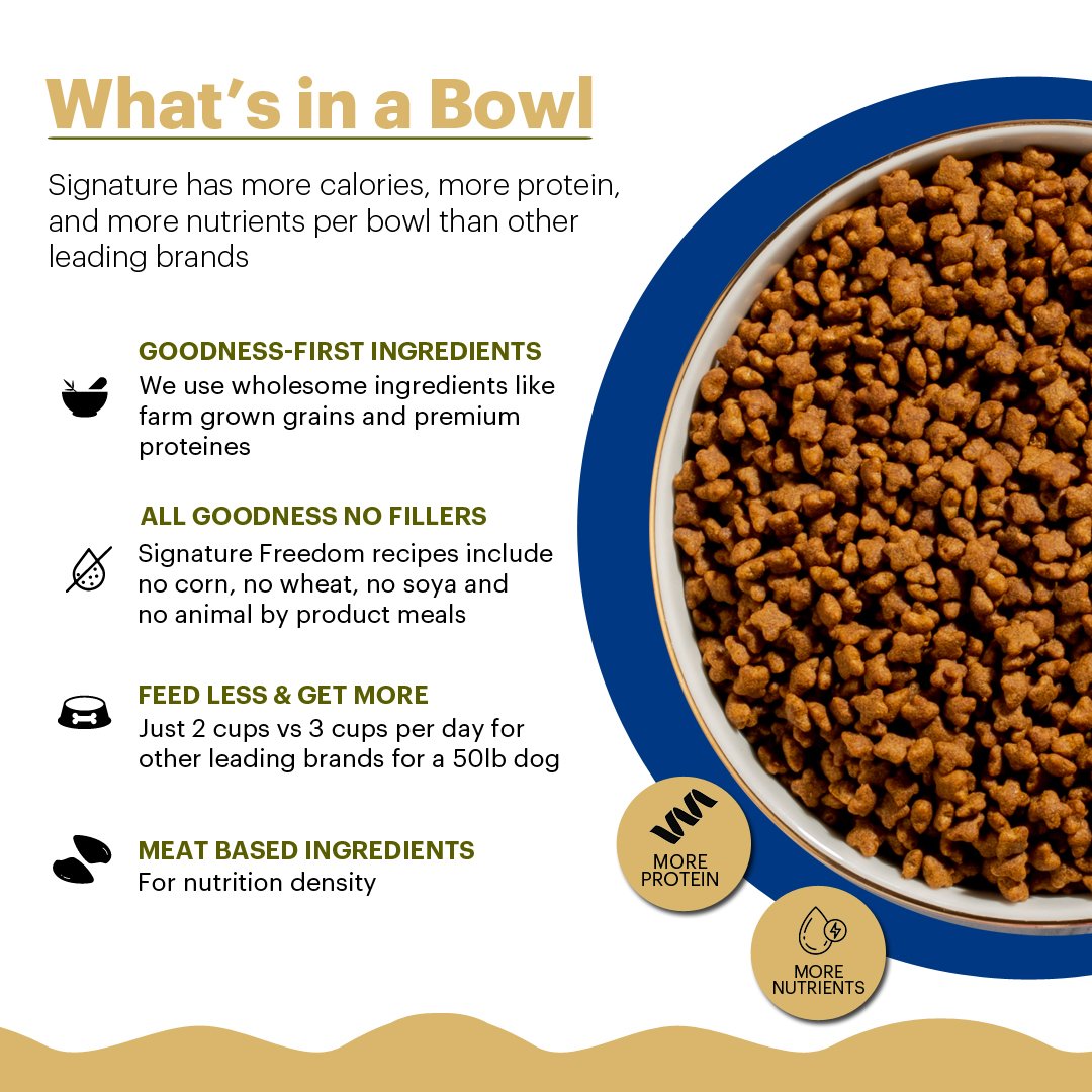 Freedom Adult Fish,Chicken &peas Recipe Dry Cat Food