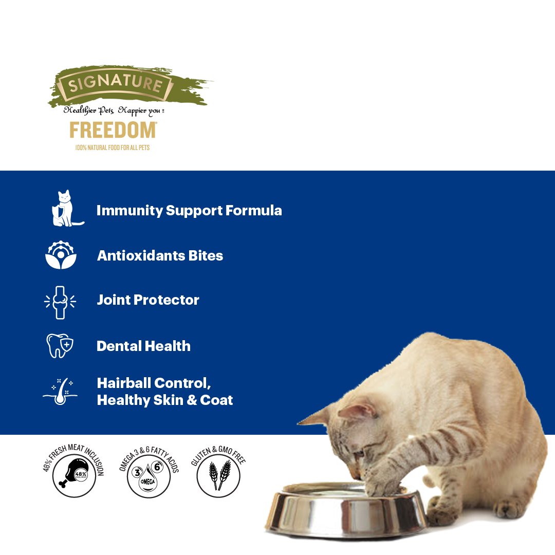 Freedom Persian Fish,Chicken &peas Recipe Dry Cat Food