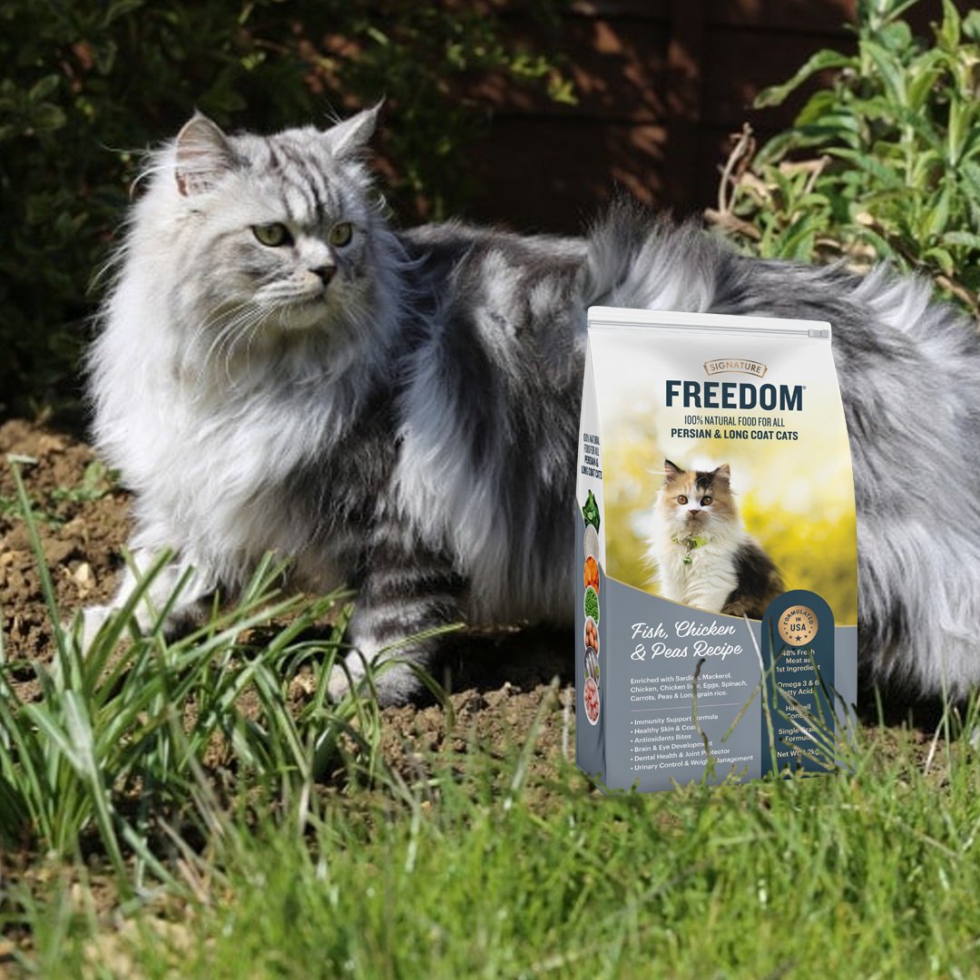 Freedom Persian Fish,Chicken &peas Recipe Dry Cat Food
