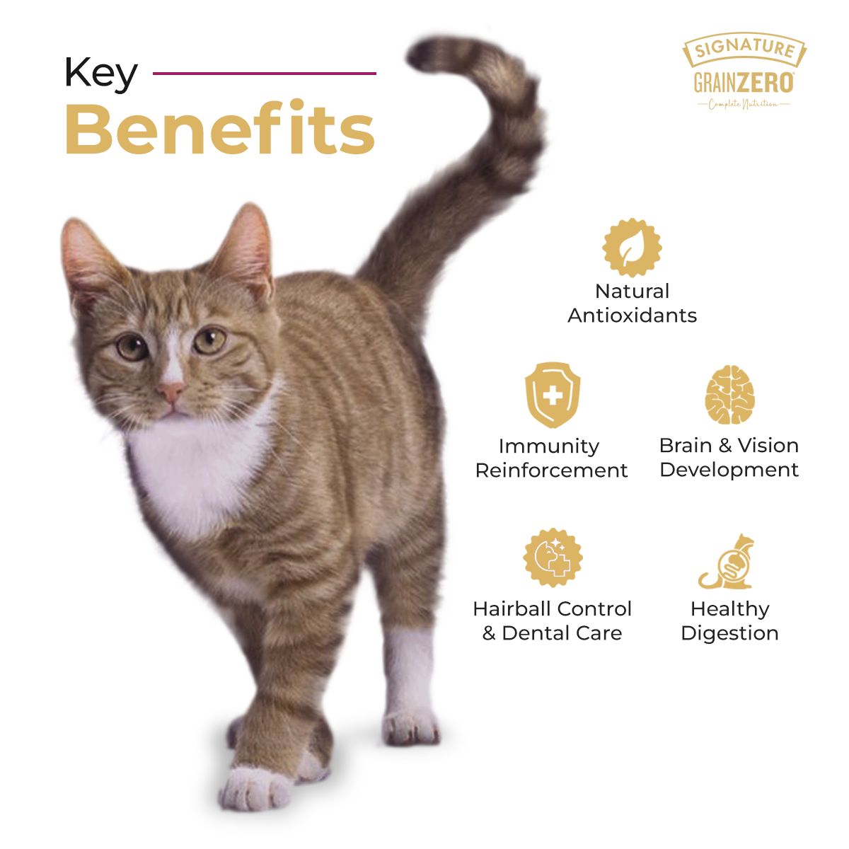 Grain Zero Ocean Fish, Sardine and Mackerel Adult Dry Cat Food