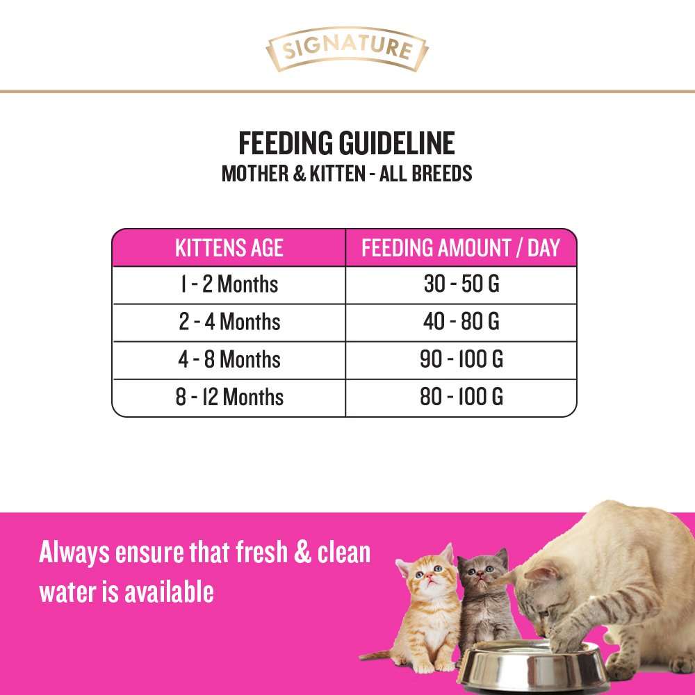 Grain Zero Persian Ocean Fish, Sardine and Mackerel Dry Cat Food