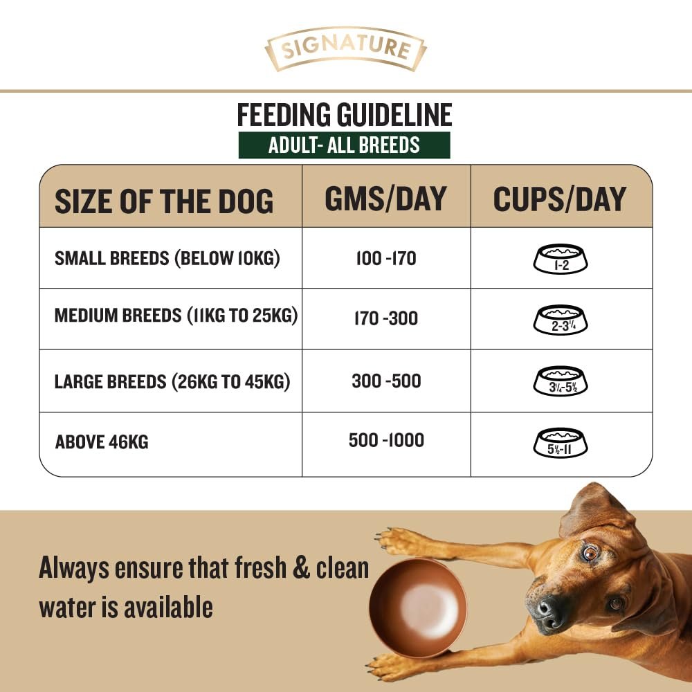 Grain Zero Real Chicken Gravy for Adult Wet Dog Food